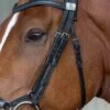 Fairfax Cheek Pieces (pair) - 5/8" For Snaffle Bridle