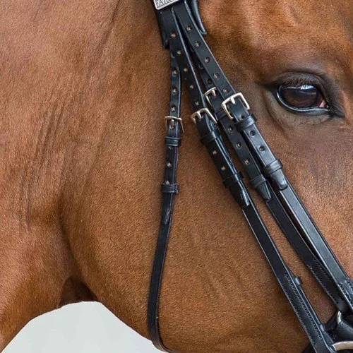 Fairfax Throatlash - 3/8" For Double Bridle 1 Fairfax Throatlash - 3/8" For Double Bridle