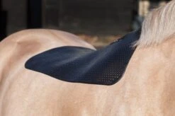 Acavallo Thin-Skin Gel Pad 5 Acavallo Thin-Skin Gel Pad -Equestrian Supplies 4014c