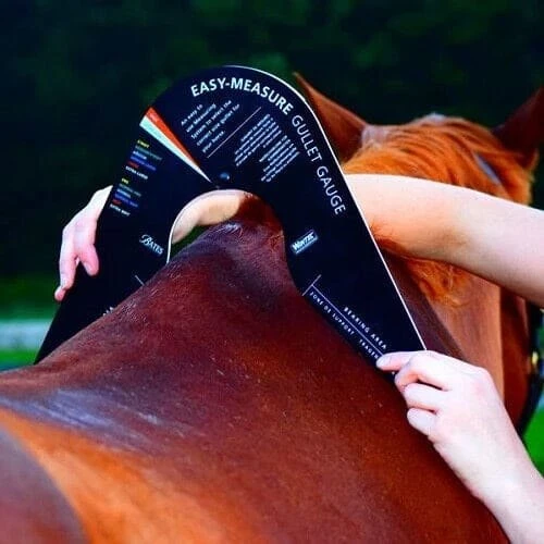 Easy-Change Gullet Gauge 2 Easy-Change Gullet Gauge - Image 2