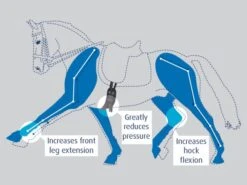 Prolite Girth Short -Equestrian Supplies 5948c