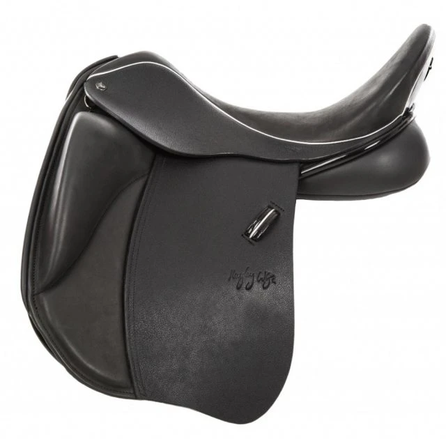 Ideal Hayley Watson-Greaves Dressage 1 Ideal Hayley Watson-Greaves Dressage